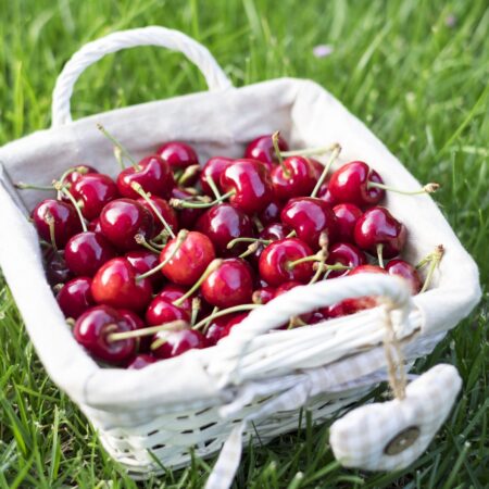 cestino ciliegie ferrovia puglia