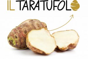 topinambur tagliato a metà